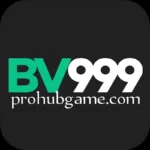 BV999 Game