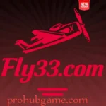 FLY33 Game