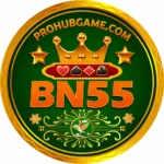 BN55