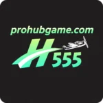 H555 Game
