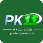PK11 Game
